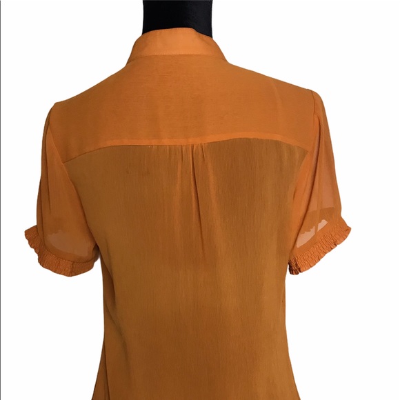 Burnt Orange Ruffled Blouse - Picture 5 of 6
